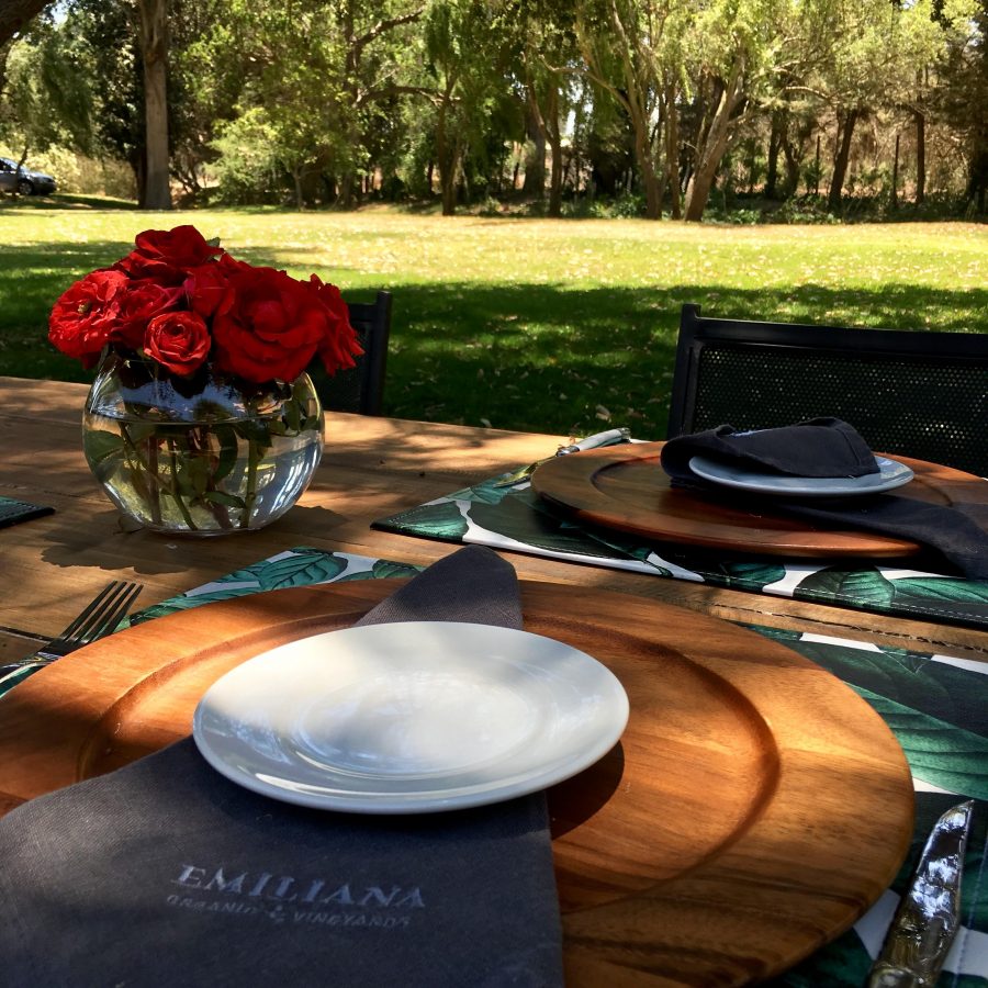 Férias no Chile – Turismo do Vinho no Chile