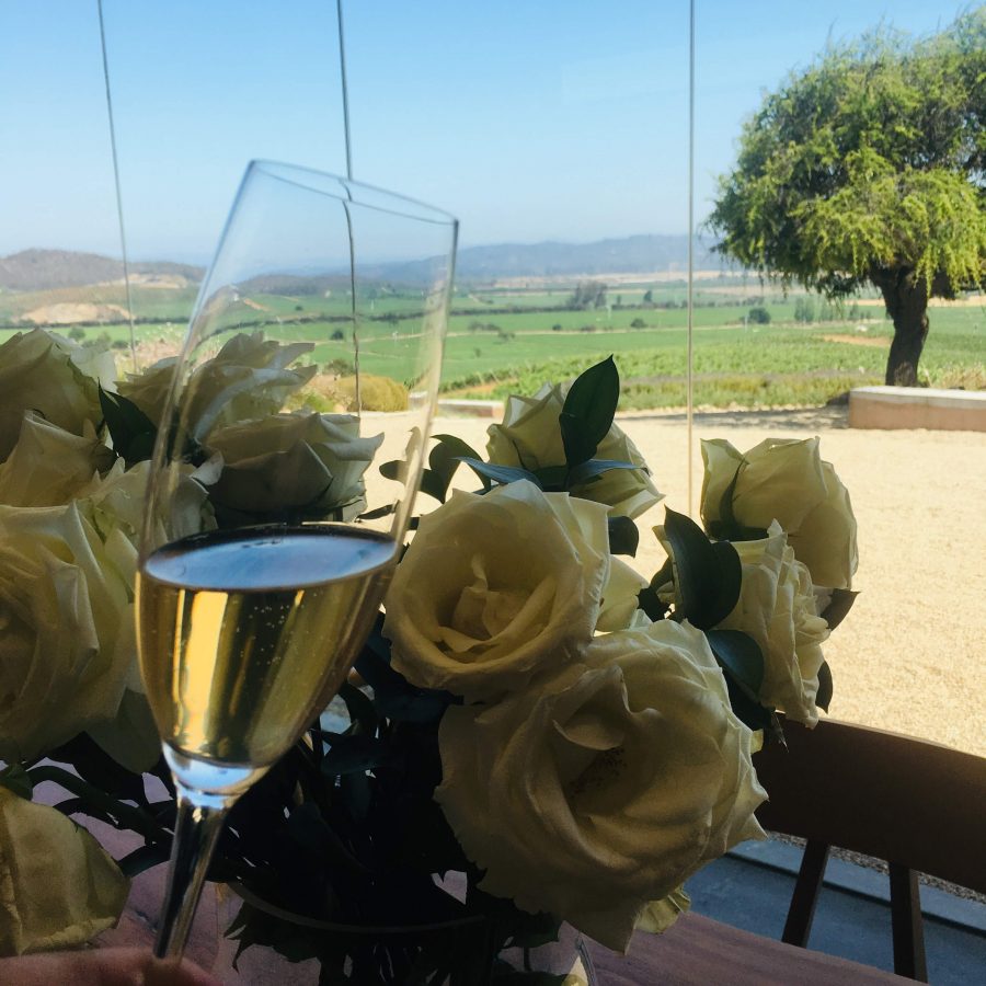 Férias no Chile – Turismo do Vinho no Chile