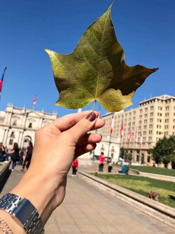 Férias no Chile – Turismo do Vinho no Chile