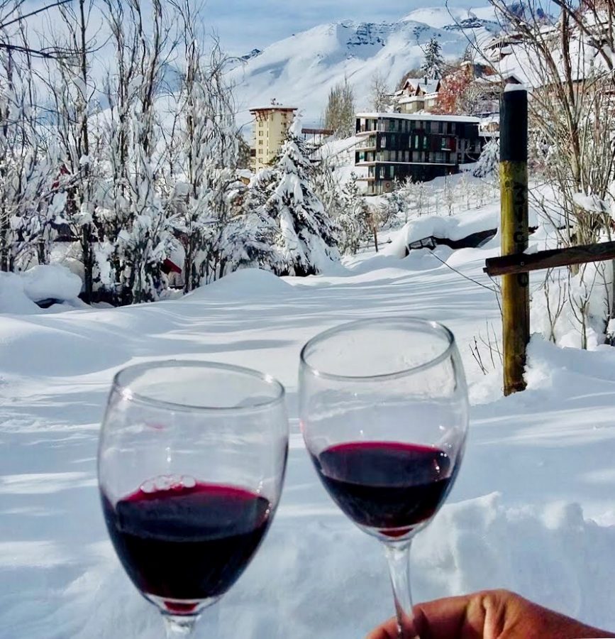 Férias no Chile – Turismo do Vinho no Chile