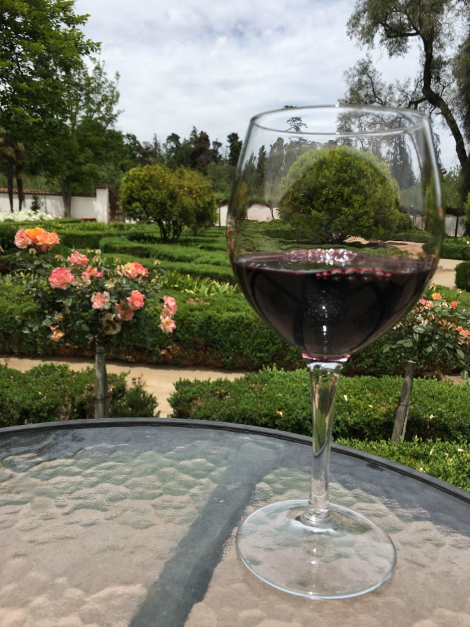 Férias no Chile – Turismo do Vinho no Chile