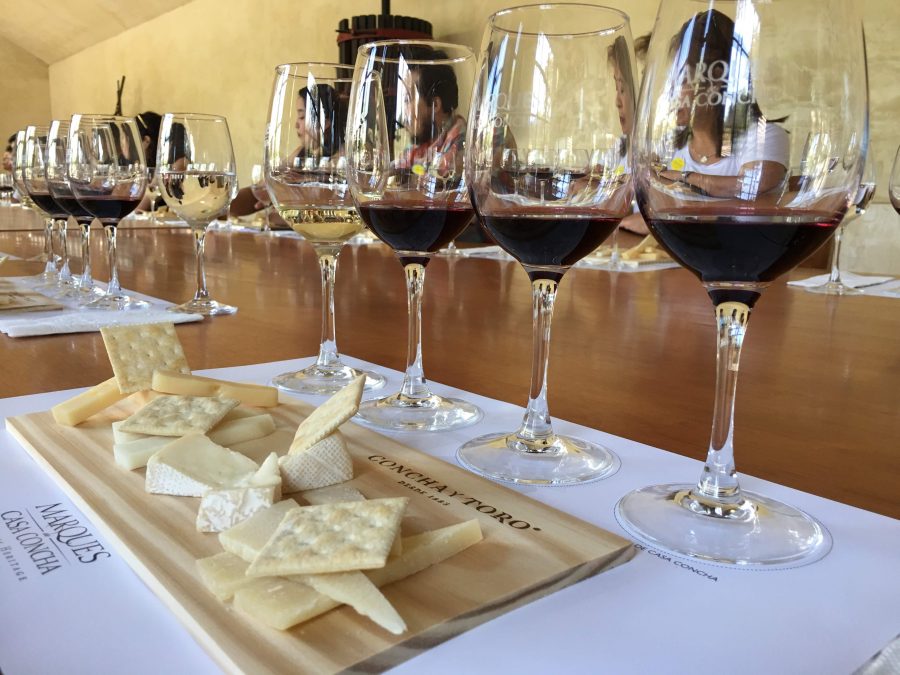 Férias no Chile – Turismo do Vinho no Chile