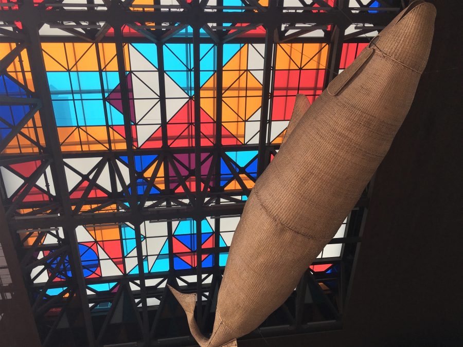 Férias no Chile – Turismo do Vinho no Chile