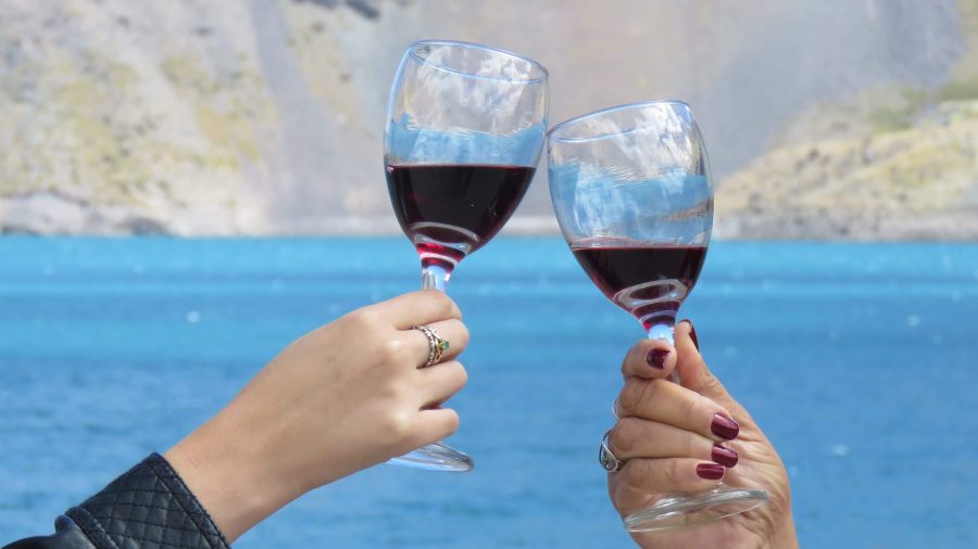 Férias no Chile – Turismo do Vinho no Chile