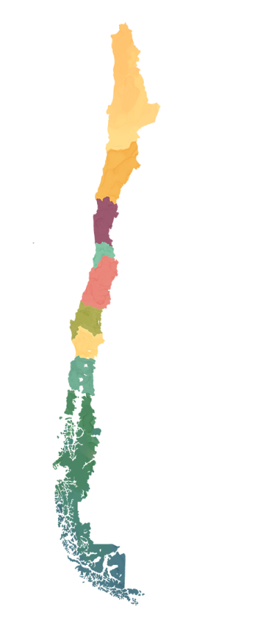 Férias no Chile – Turismo do Vinho no Chile