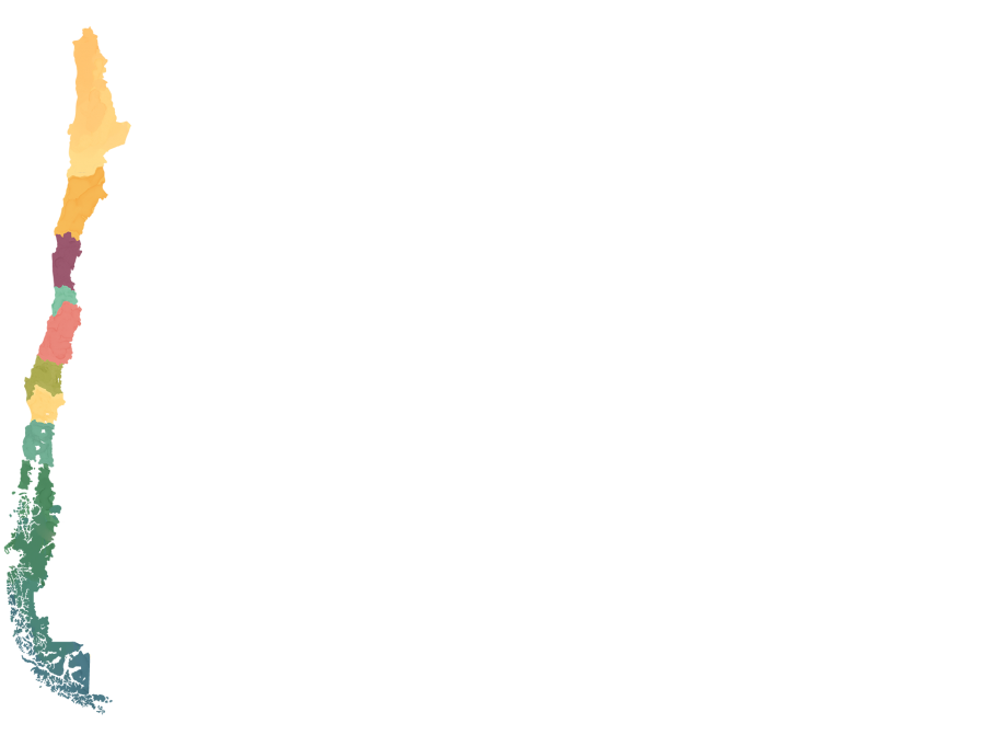 Férias no Chile – Turismo do Vinho no Chile