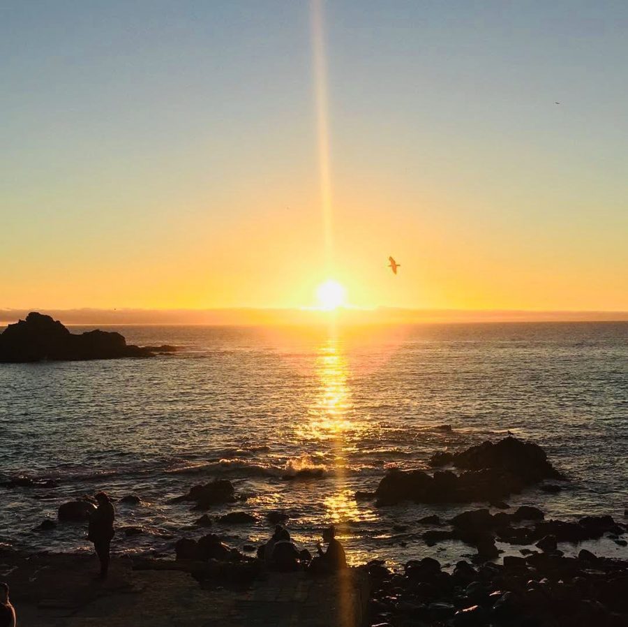 Férias no Chile – Turismo do Vinho no Chile