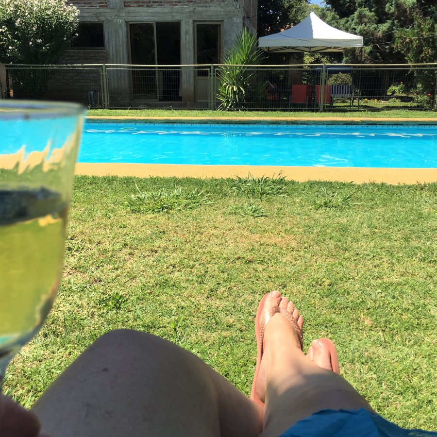 Férias no Chile – Turismo do Vinho no Chile