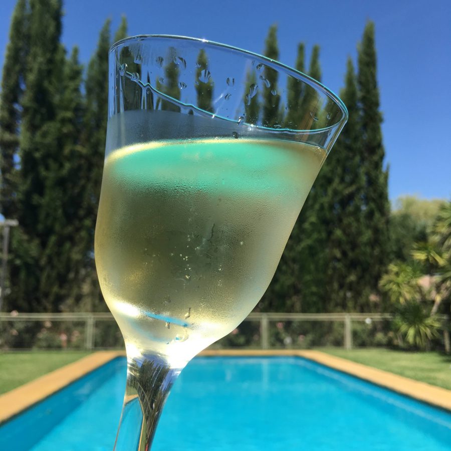 Férias no Chile – Turismo do Vinho no Chile