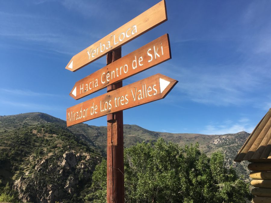 Férias no Chile – Turismo do Vinho no Chile