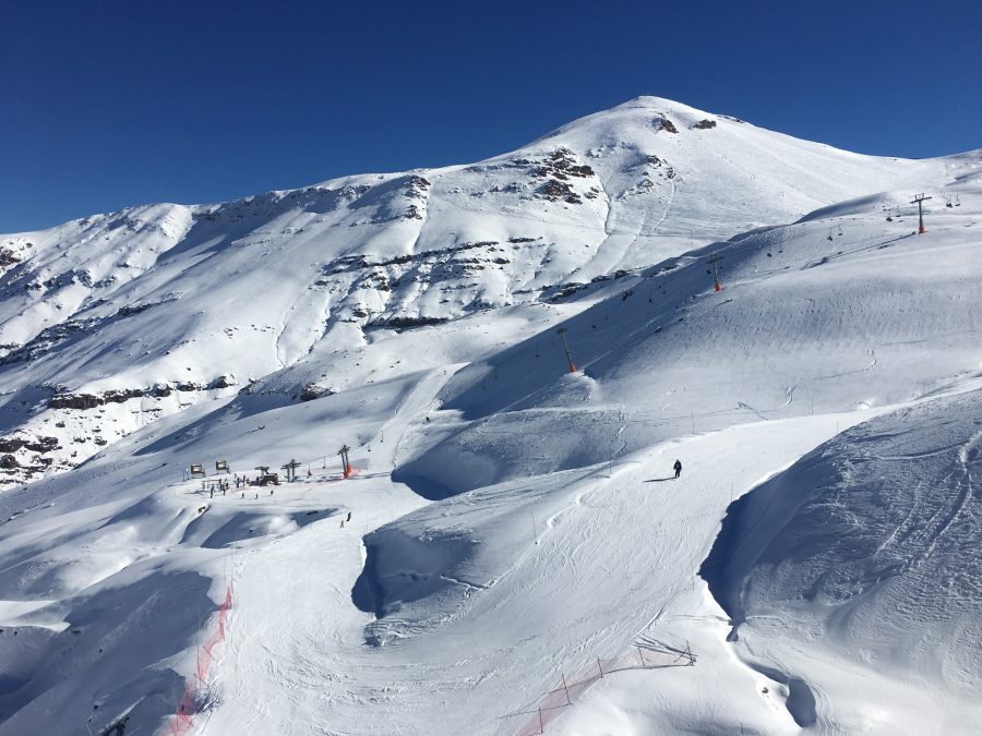 Férias no Chile – Turismo do Vinho no Chile