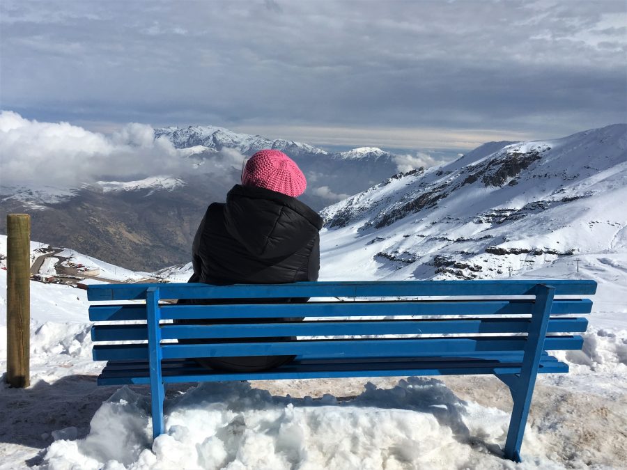 Férias no Chile – Turismo do Vinho no Chile