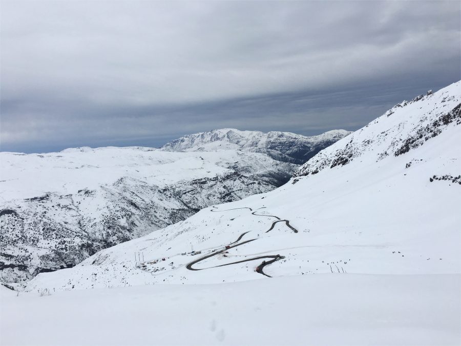 Férias no Chile – Turismo do Vinho no Chile