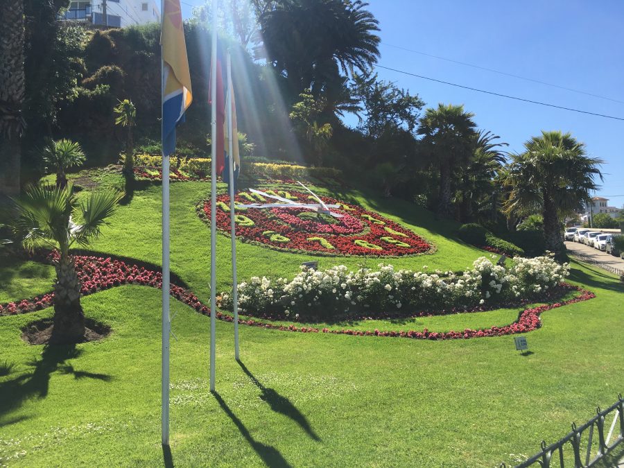 Férias no Chile – Turismo do Vinho no Chile