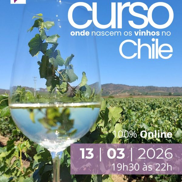 Onde nascem os vinhos no Chile