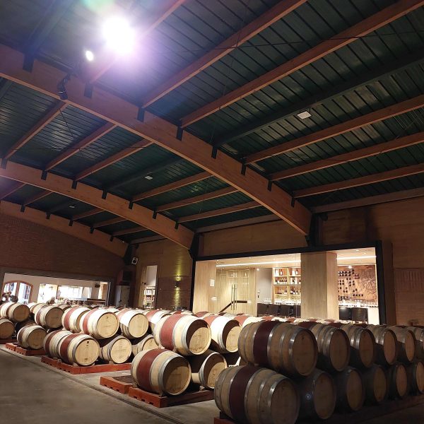 Casas del Bosque