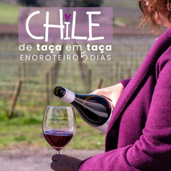 (Eno)roteiro 5 dias no Chile
