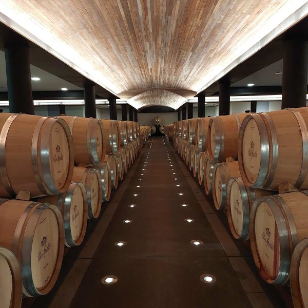 As joias de Colchagua: Montes e Clos Apalta